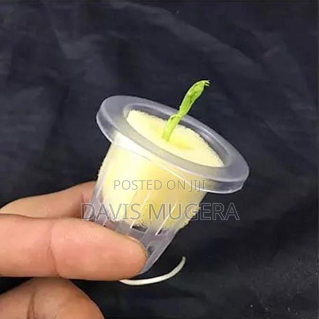 Hydroponic Mesh Pot Net Cup Aeroponic Planting Soilless -#70 - thumbnail 3