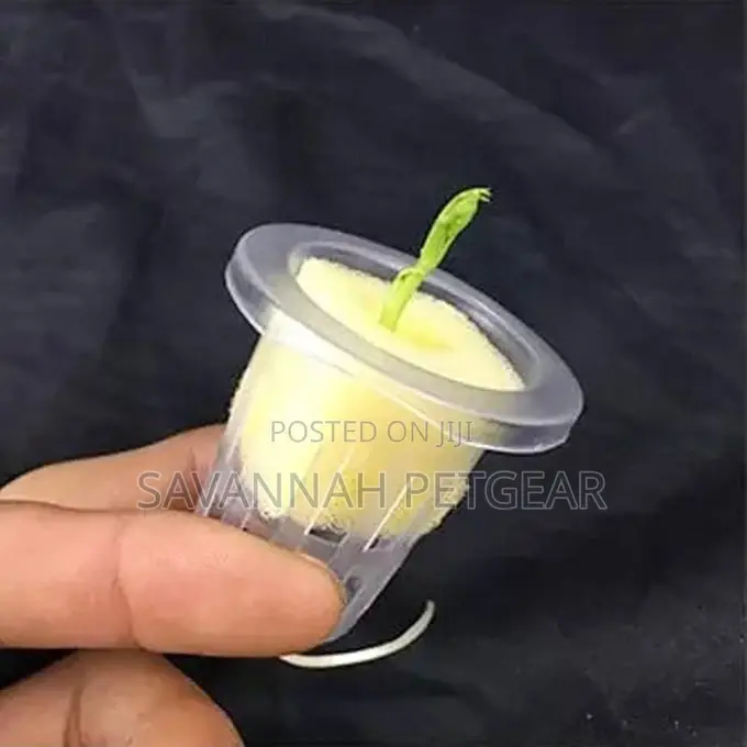 Hydroponic Mesh Pot Net Cup Aeroponic Planting Soilless -#70