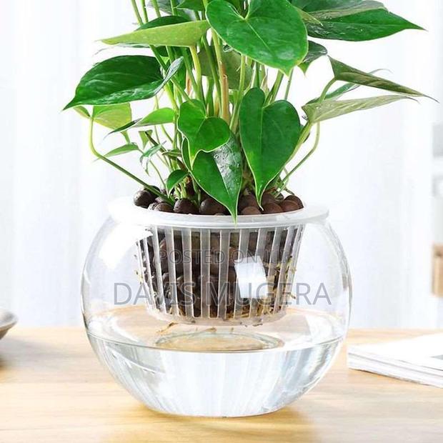 Hydroponic Mesh Pot Net Cup Aeroponic Planting Soilless -#70 - thumbnail 4