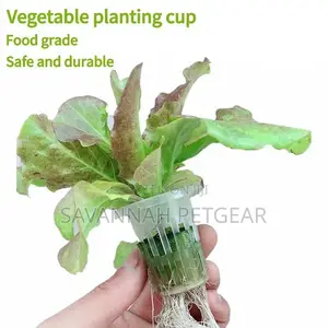 Nursery Pots Hydroponic Grow Net Soilless Mesh - (50mm*50mm)
