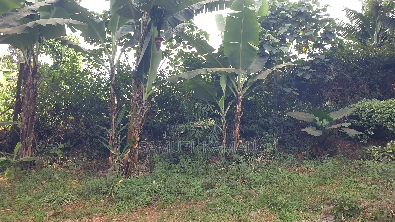 Thome, Mukima Drive, 1/2 Acre, Gated Community