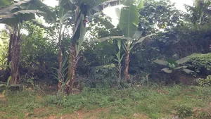 Thome, Mukima Drive, 1/2 Acre, Gated Community