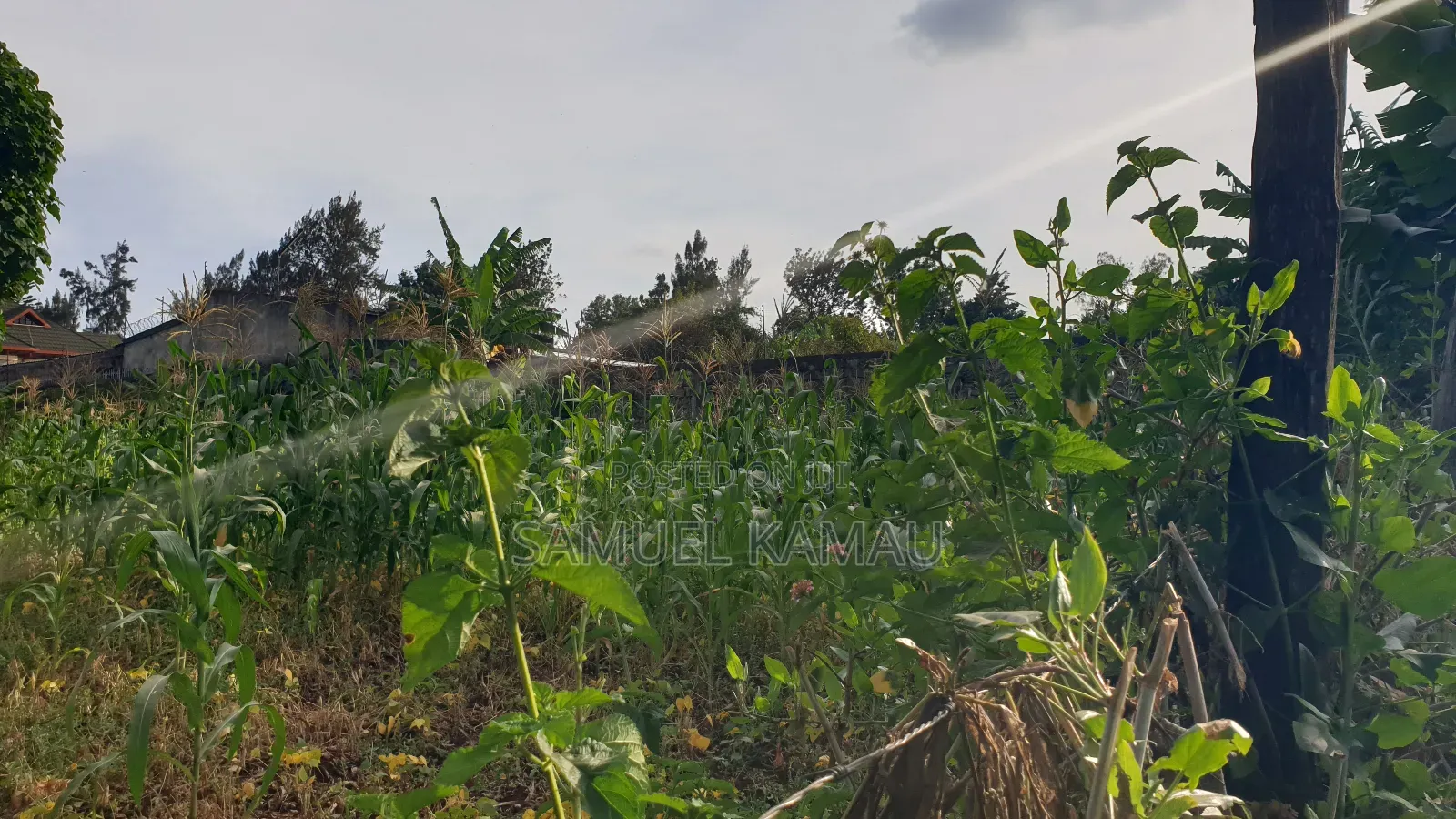 Thome, Mukima Drive, 1/2 Acre, Gated Community