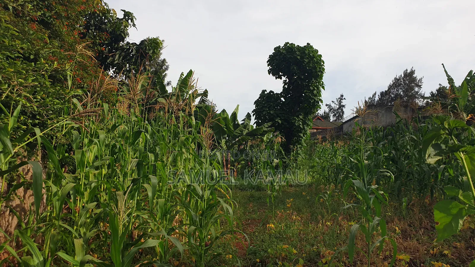 Thome, Mukima Drive, 1/2 Acre, Gated Community