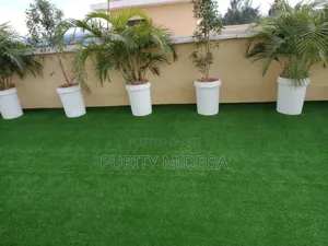Pretty Good Looking Grass Carpet