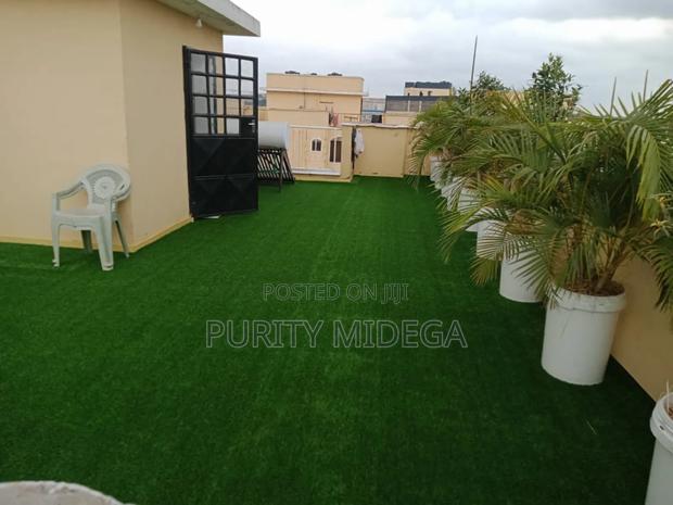 Pretty Good Looking Grass Carpet - thumbnail 2