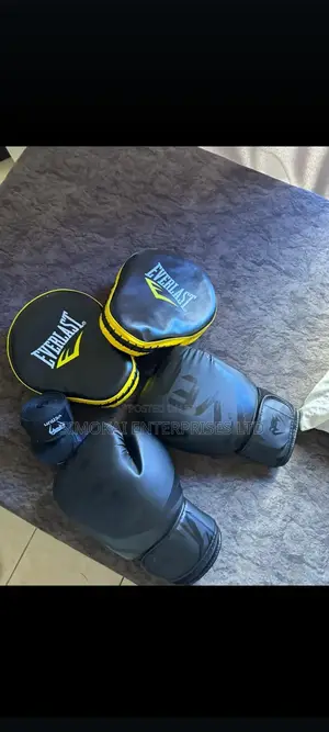 Everlast Boxing Pads