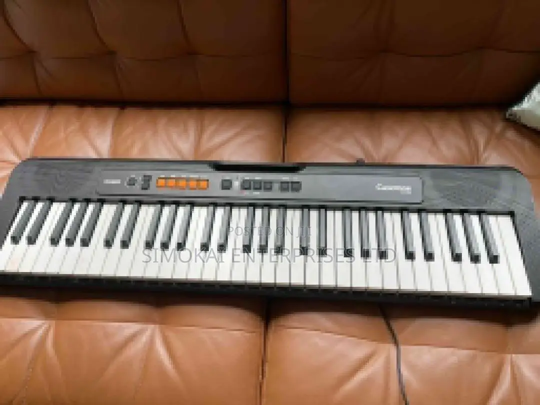 Casio Beginner ,122 Tones 61 Rhythms 61 Keys CT-S100C2