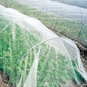 Weather-Proof Nets" - Resilient, Uv-Safe Materials