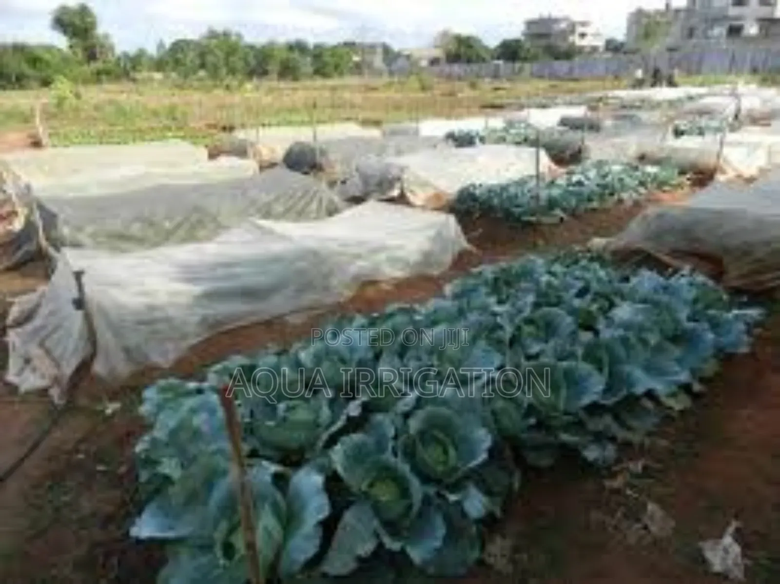 Protect All Plant Types" - Versatile Pest Solutions.
