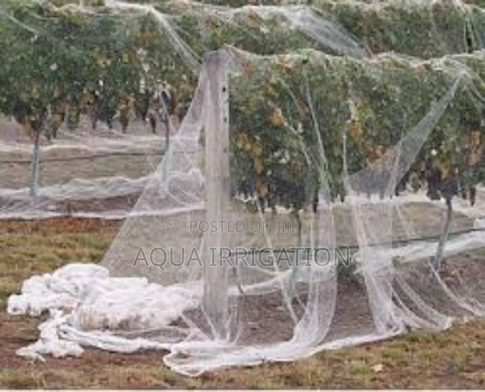 Safe Farming, Big Harvests" - Quality-Made Solutions