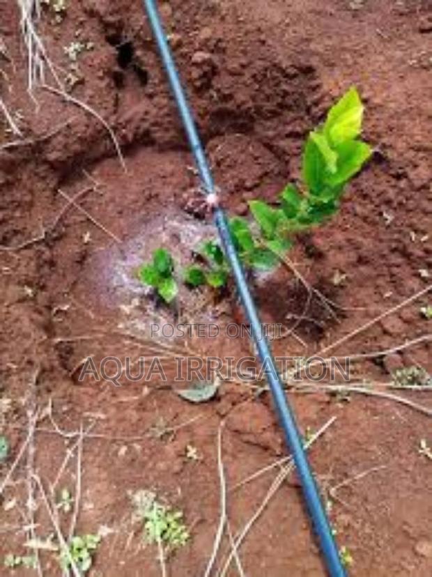 Efficient Watering With Button Drippers" - main view