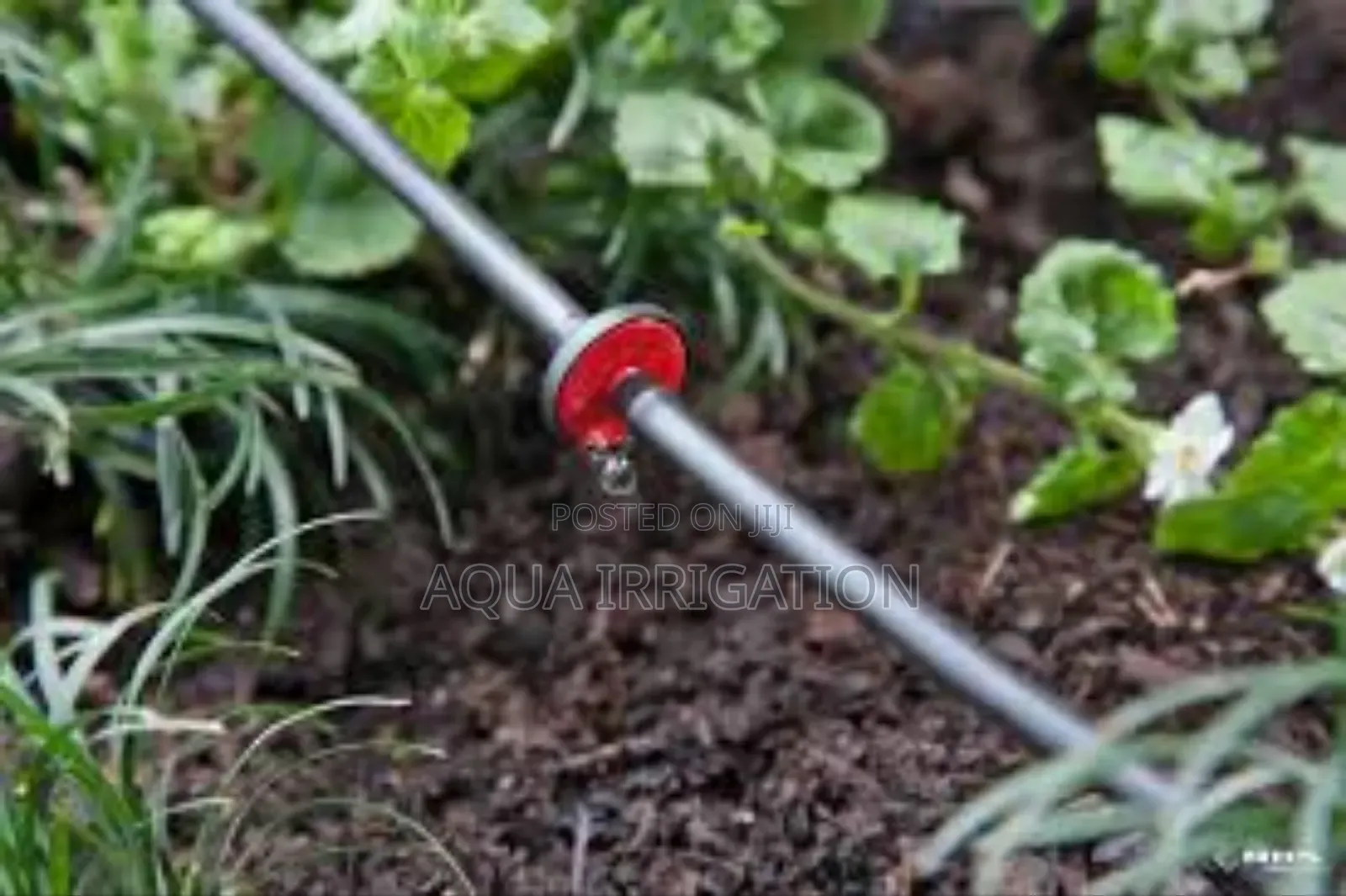 Reliable Drippers for Any Climate