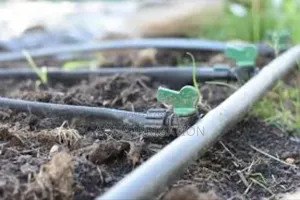 Smart Watering Starts With Our Driplines