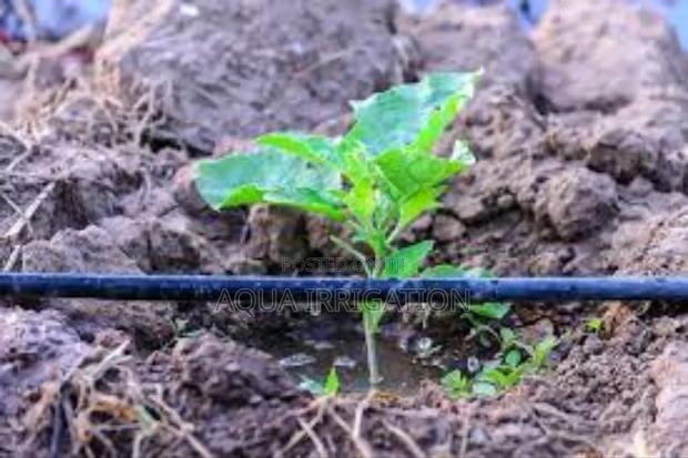 Efficient Driplines for Water-Saving Irrigation" - main view
