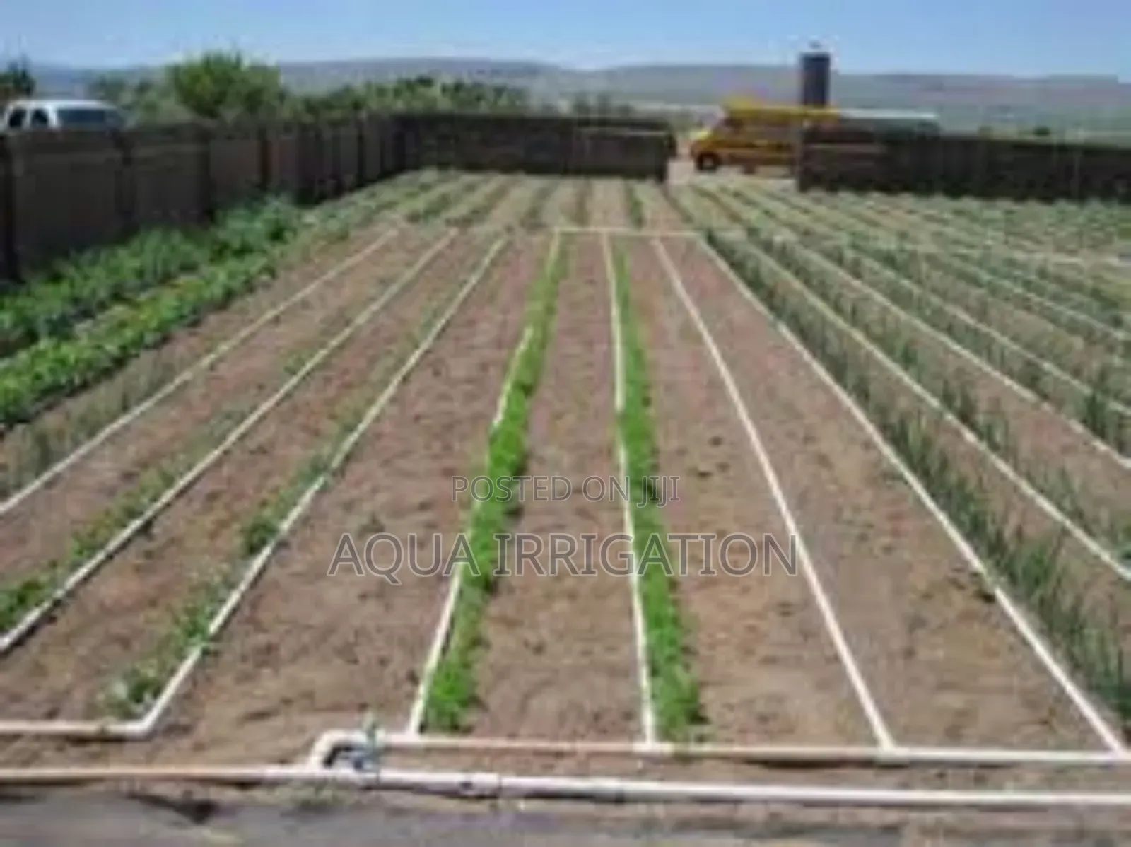 Button Drippers Designed for Healthy Plants