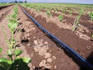 Uv-Resistant Driplines for Long-Term Use - thumbnail 2
