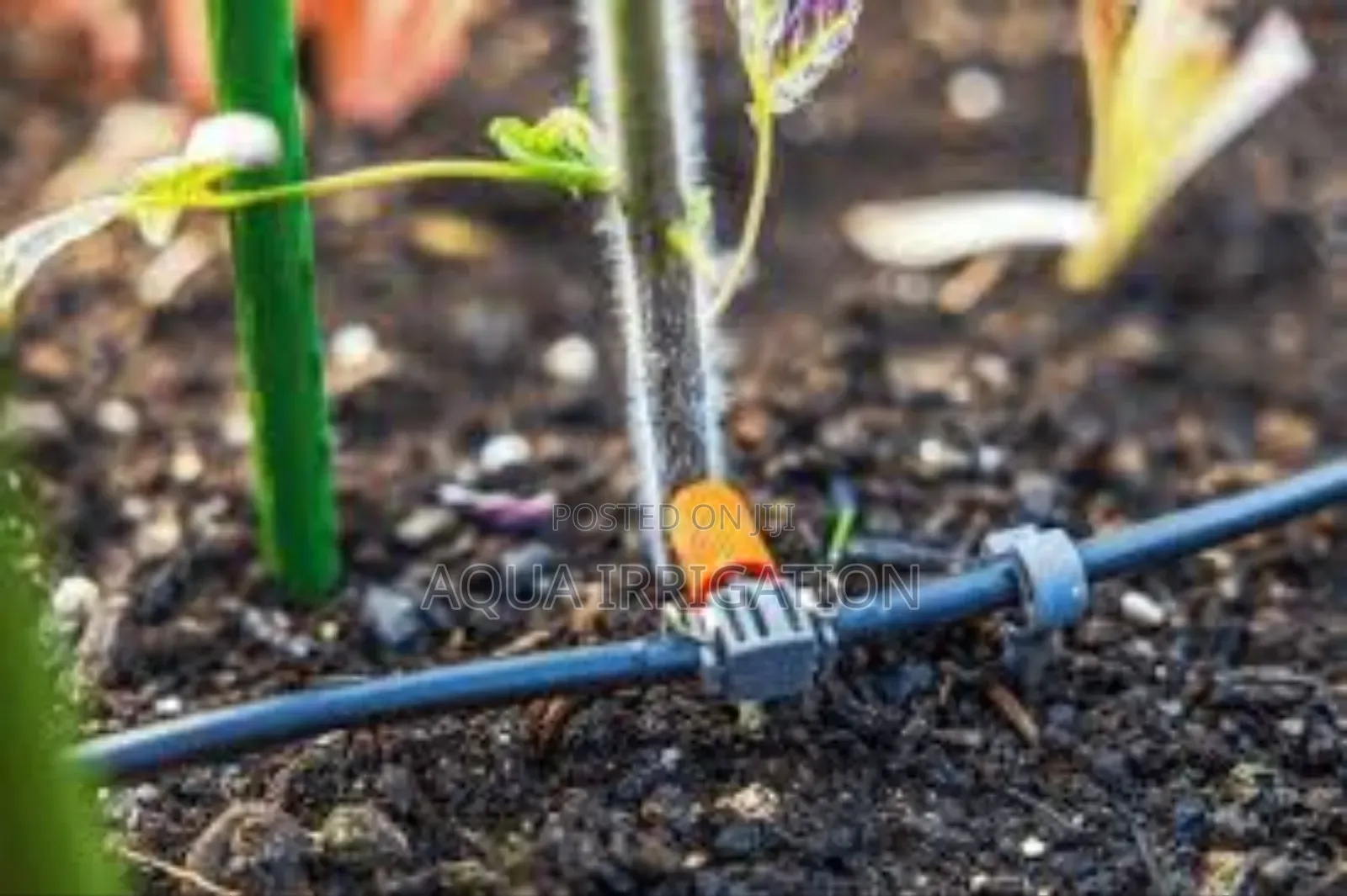 Efficient Driplines for Fruit Orchards