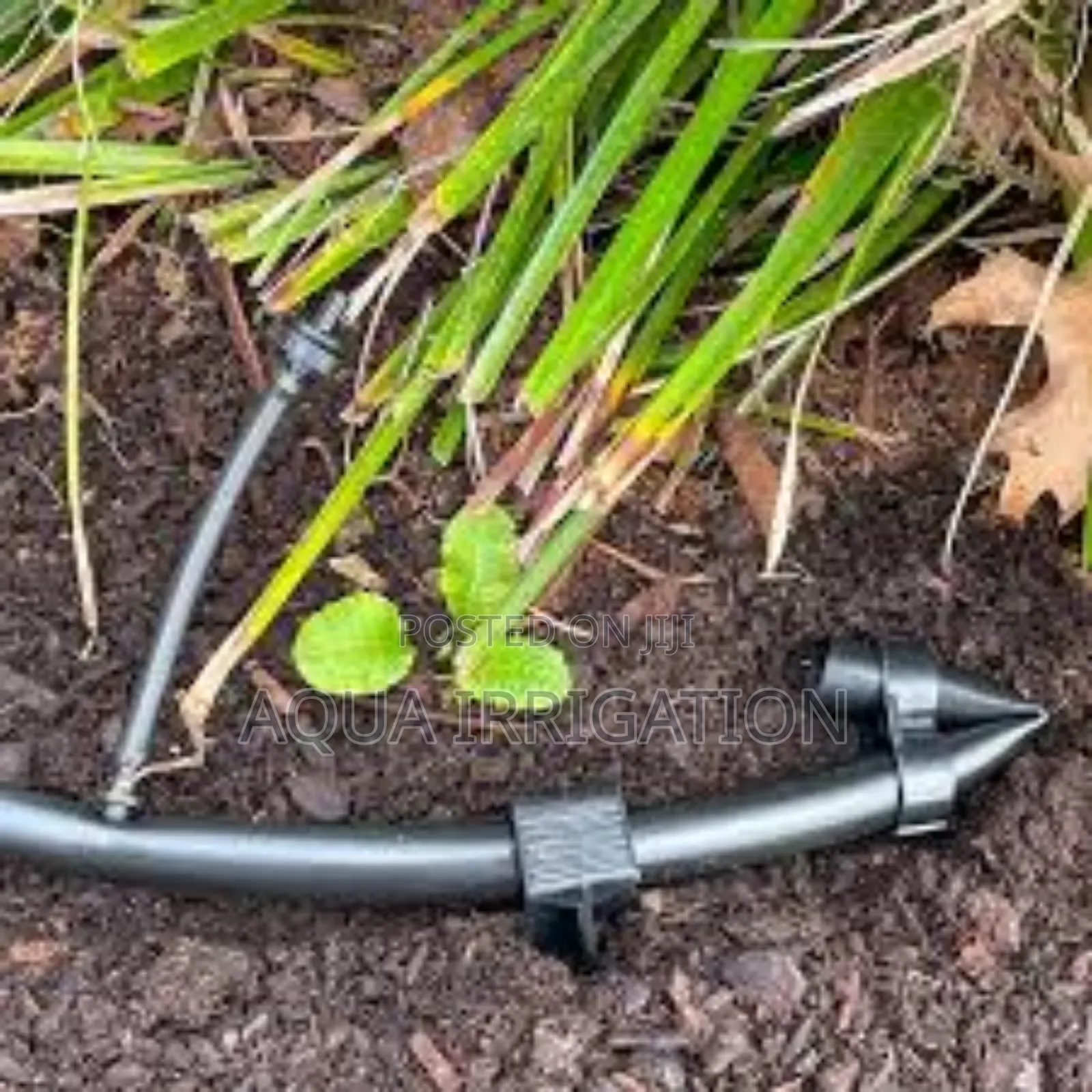 Driplines Designed for Banana Plantations