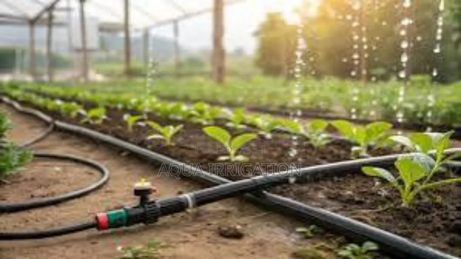 Sustainable Farming Starts With Our Driplines