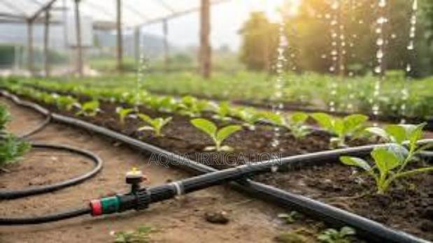 Sustainable Farming Starts With Our Driplines