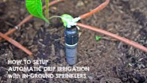 Water Conservation Made Easy With Driplines" - thumbnail 2