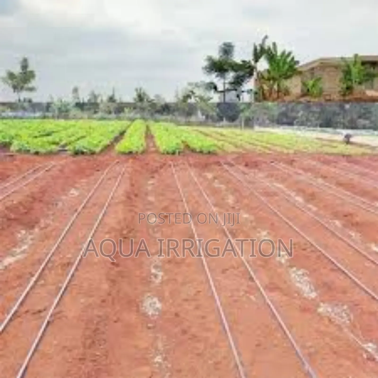Efficient Irrigation for Higher Profits"