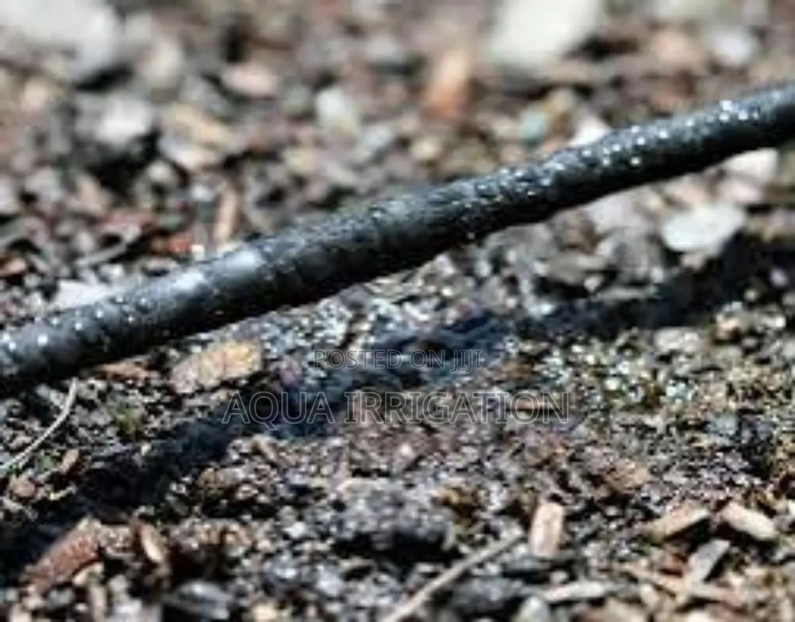High-Quality Driplines for Any Farm"