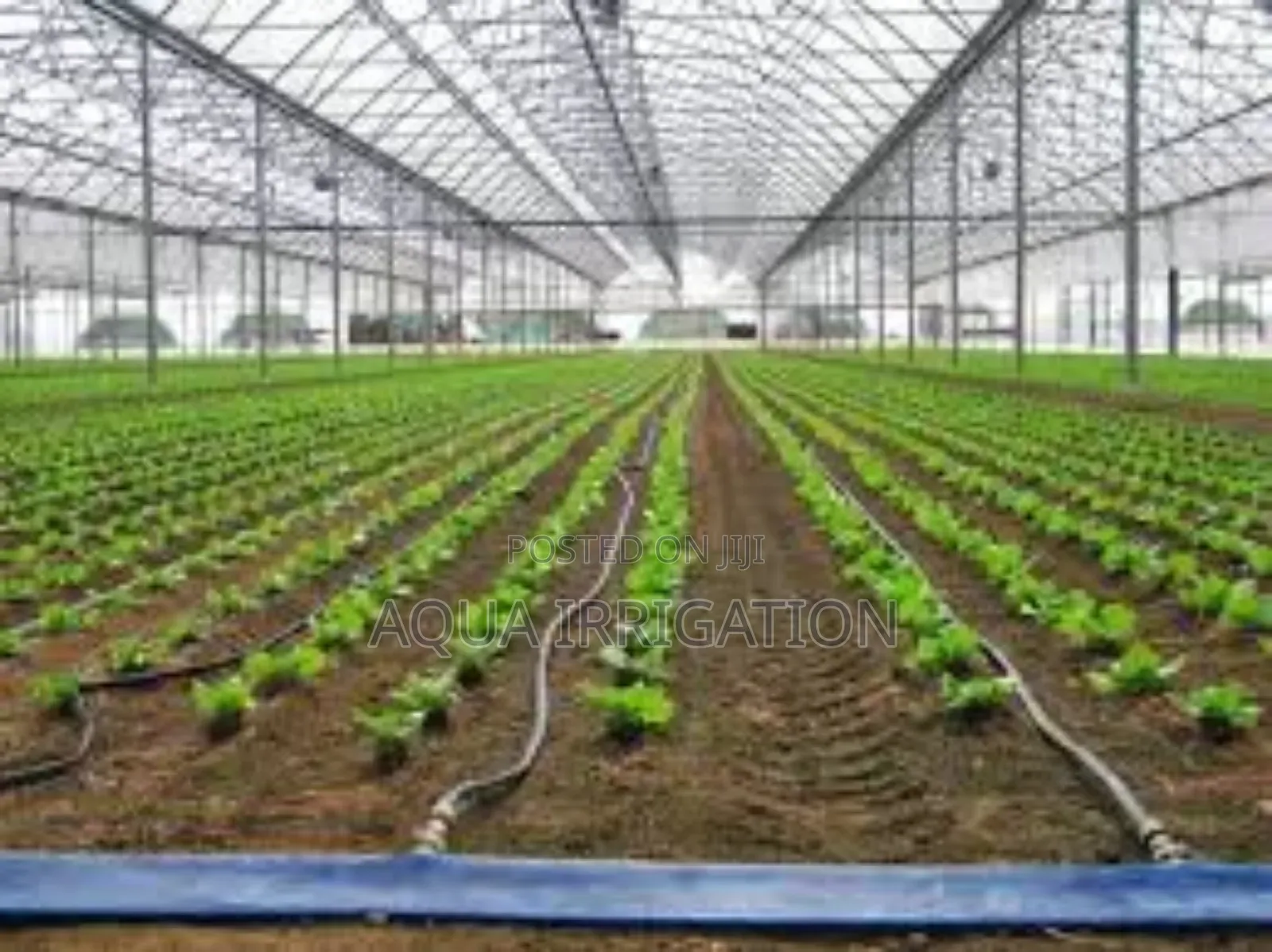 Premium Driplines for Long-Term Irrigation"