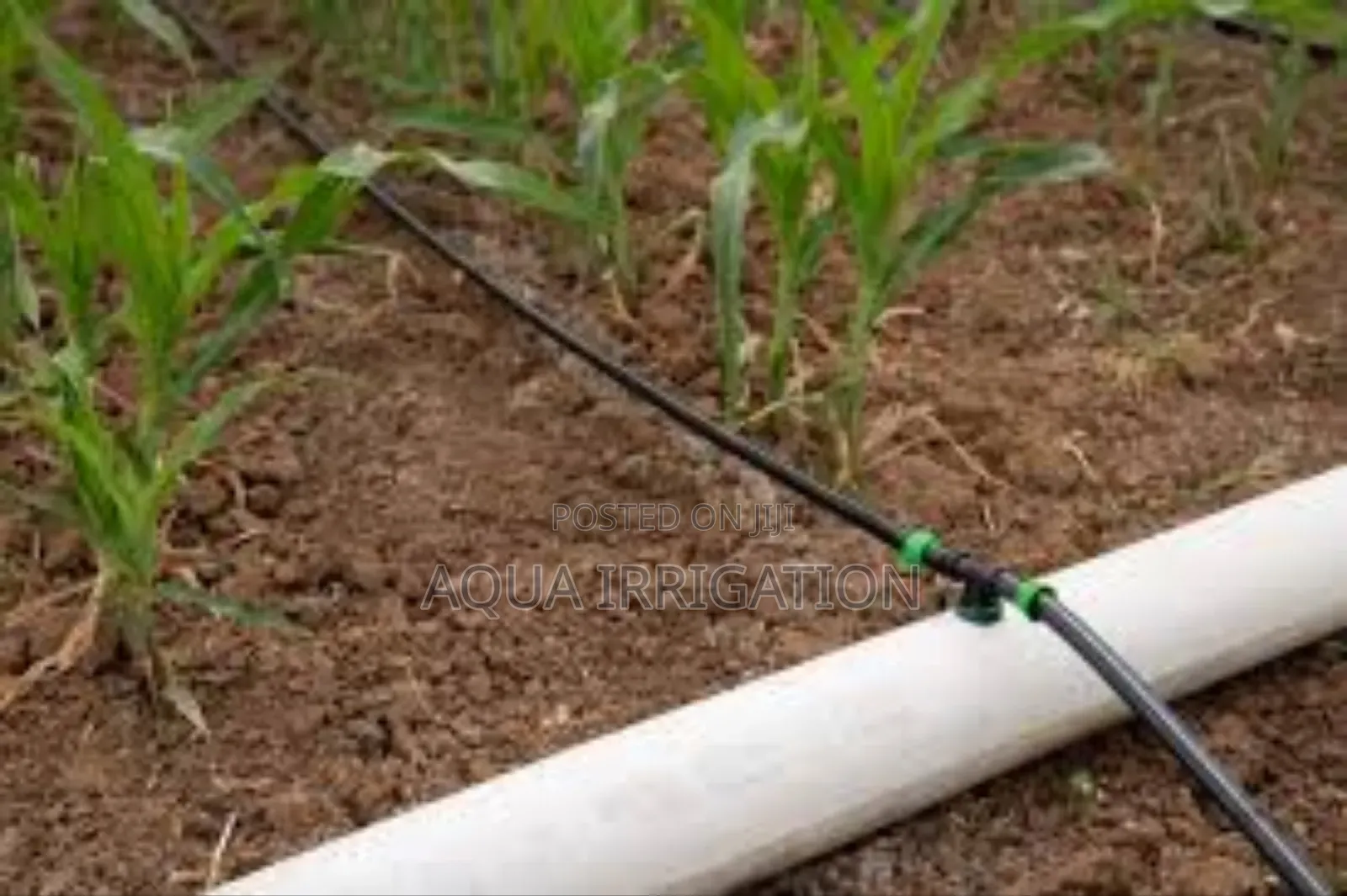 Bulk Discounts Available on Driplines!"