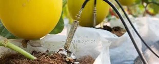 Order Driplines Now for Huge Savings!" - main view