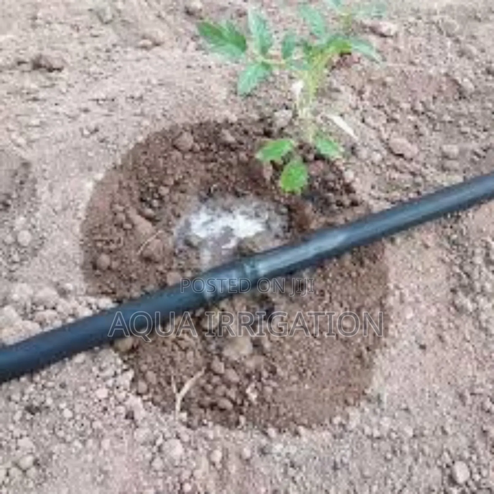 Tailored Driplines for Precise Watering