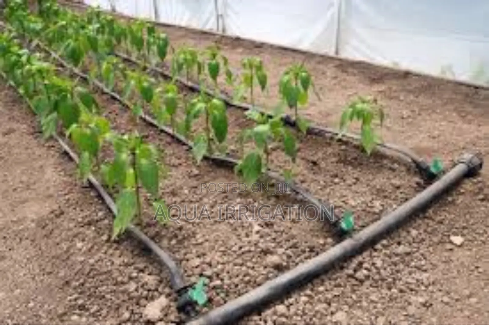 Precision Driplines for Better Crop Yields"
