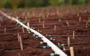 Transform Farming With Advanced Driplines"