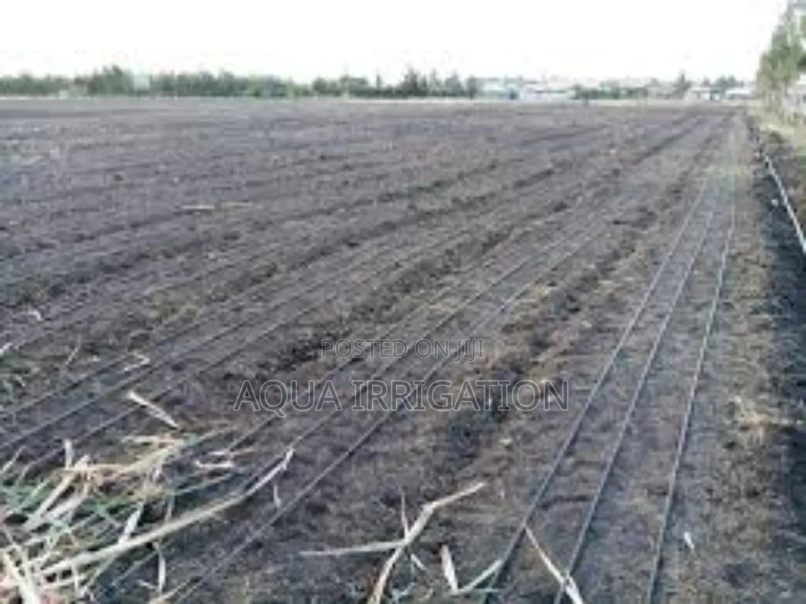 Perfect Irrigation Starts With Our Driplines