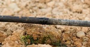 Get Driplines for Consistent Watering Now! - thumbnail 2