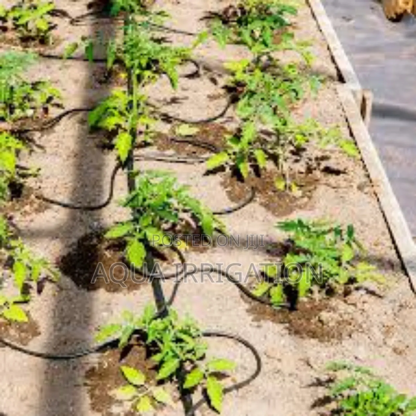 Innovative Driplines for Modern Farmers"