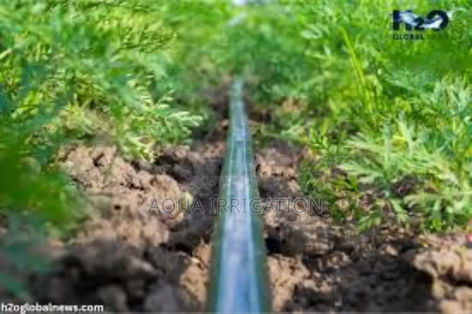Revolutionize Watering With Our Driplines"