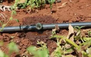 Smart Driplines for Smarter Irrigation