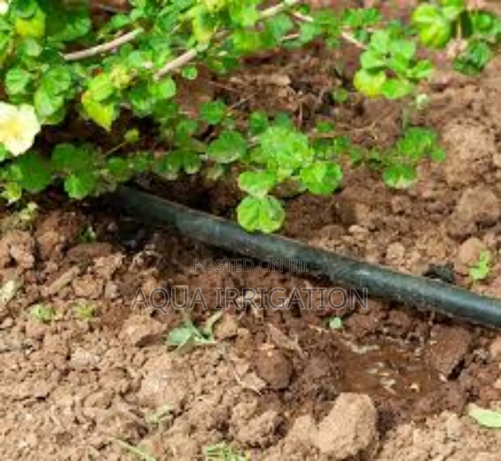 High-Tech Driplines for Superior Results