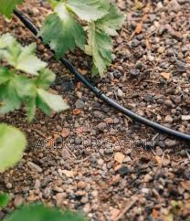 "Smart Watering Solutions You Can Trust - main view