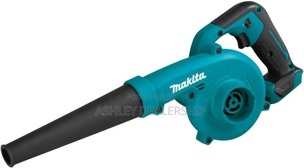 20v Cordless Blower