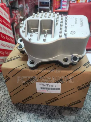 Fielder Hybrid Water Pump