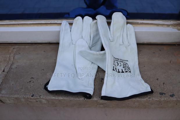 Driver Gloves - main view