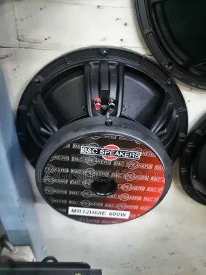 B C Speaker Mr12h68c 12inch 600W Mid Speaker