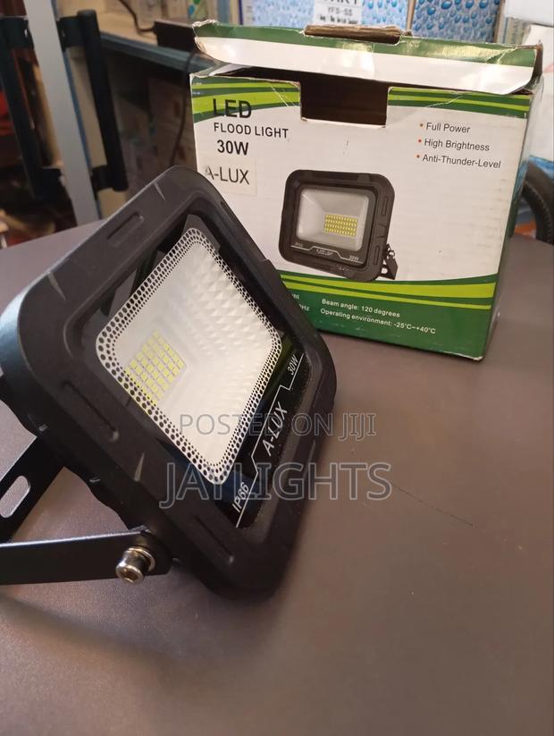30 Watt AC Led Floodlight Waterproof Outdoor Flood Light