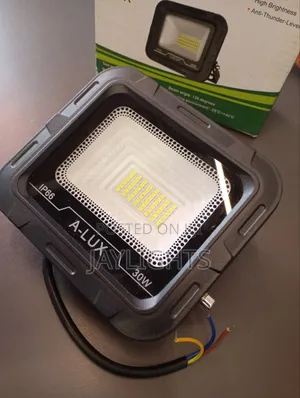 Outdoor Security Lighting Waterproof IP66 Floodlight 30w