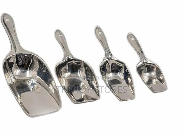 Stainless Steel Scoop - main view