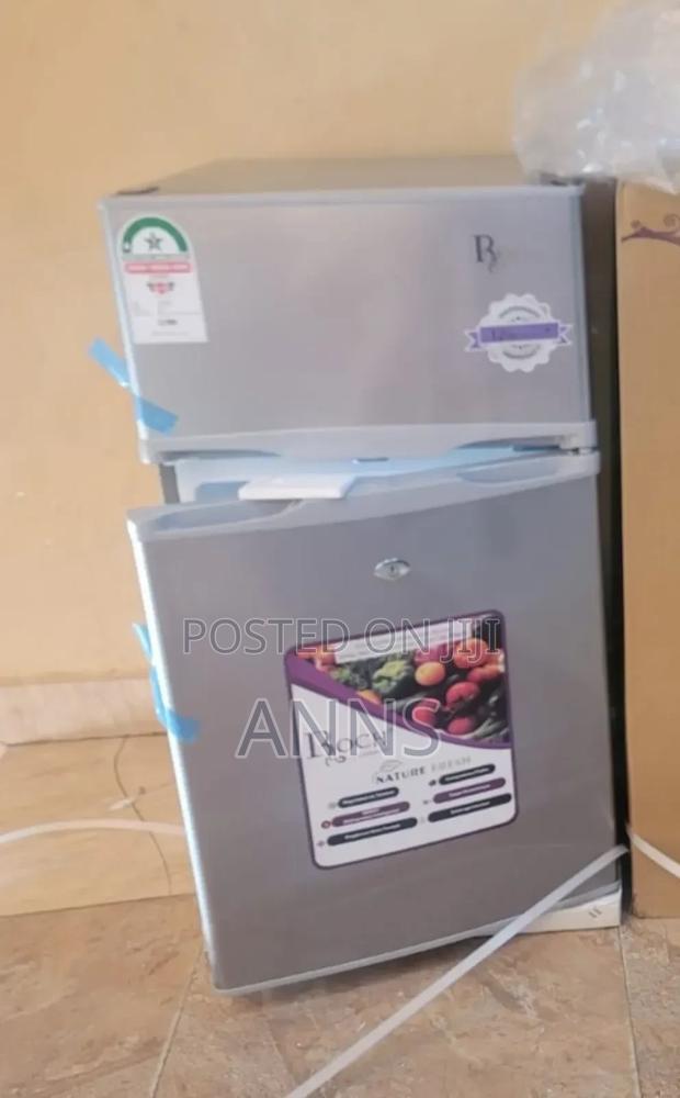 Roch 98 Litres Double Door Silver Fridge - main view