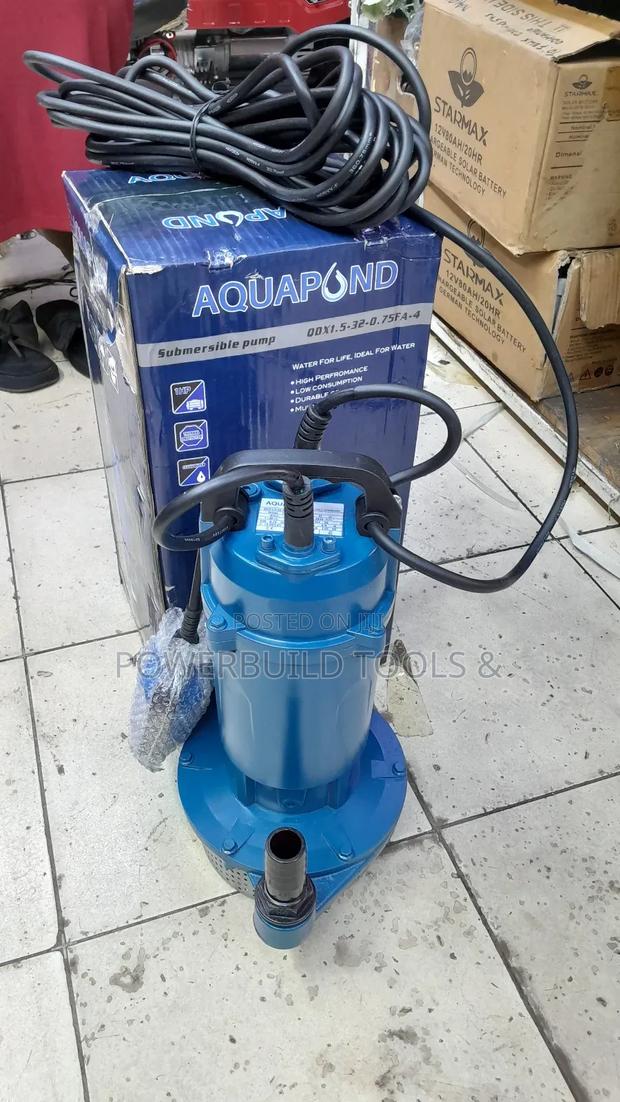 1hp Aquapond Submersible Pump With Float Switch